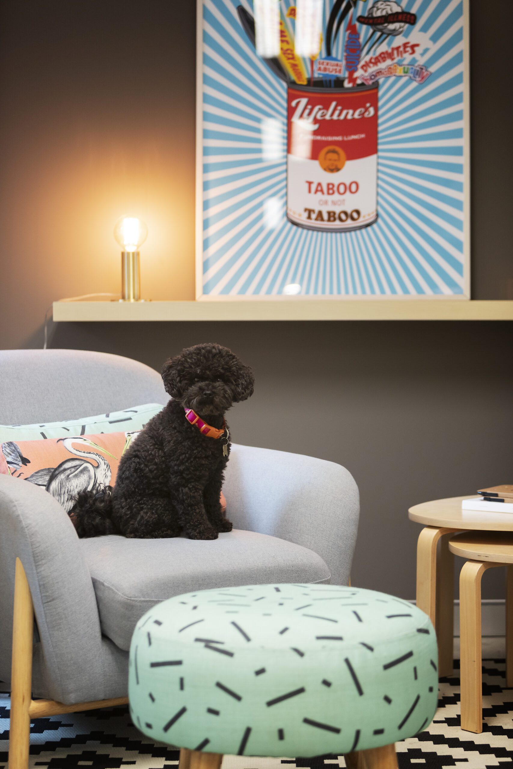 Cute dog loving the new design Cute dog loving the new design