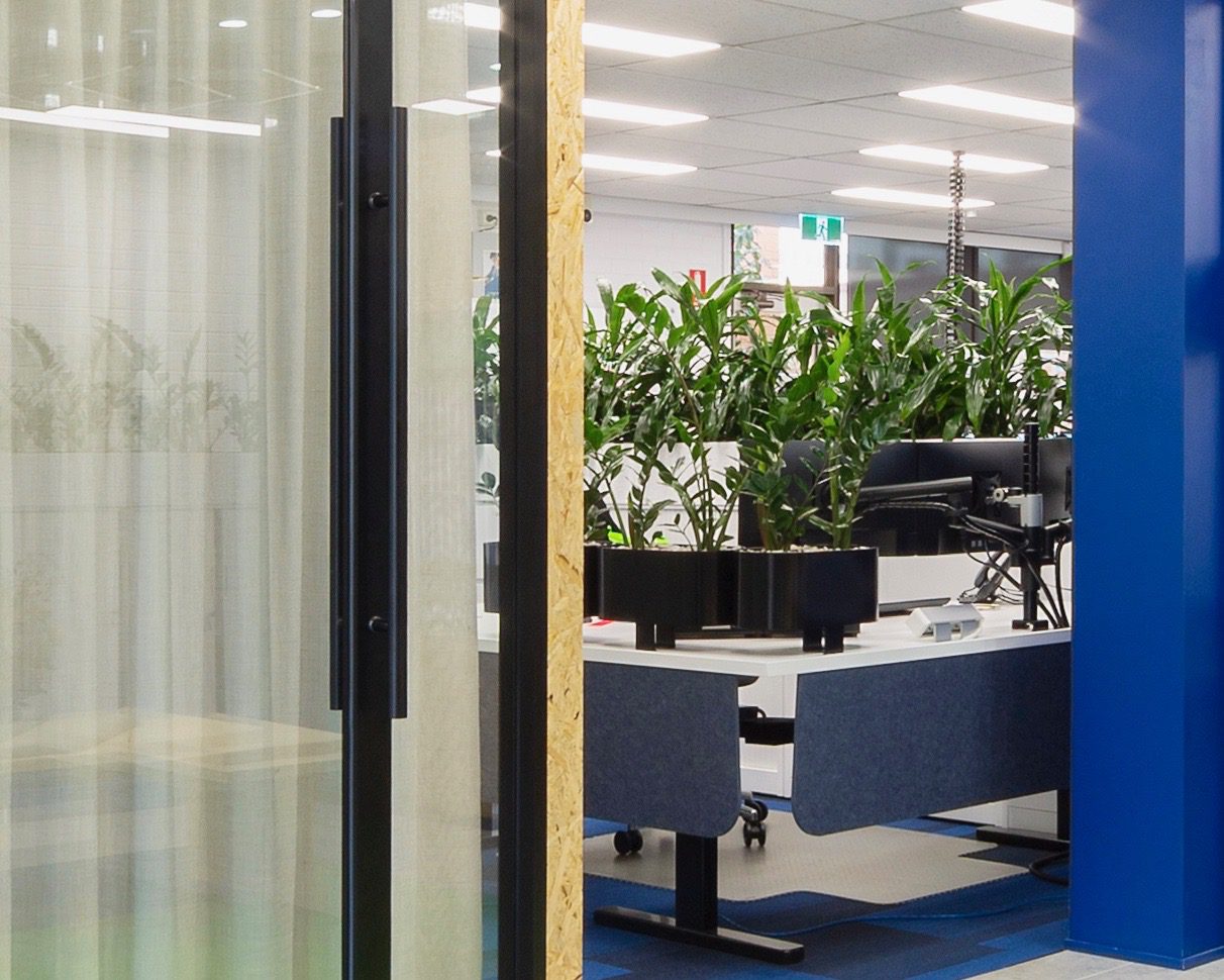 Sheer curtains office interior workplace Sheer curtains office interior workplace